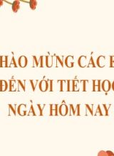 Bài giảng Toán Lớp 7 (Sách Chân trời sáng tạo) - Chương 8 - Bài 4 Đường vuông góc và đường xiên - Năm học 2022-2023